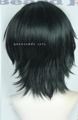 Amazon.co.jp: HUNTER×HUNTER フェイタン＝ポートオ コスプレwig : ホビー